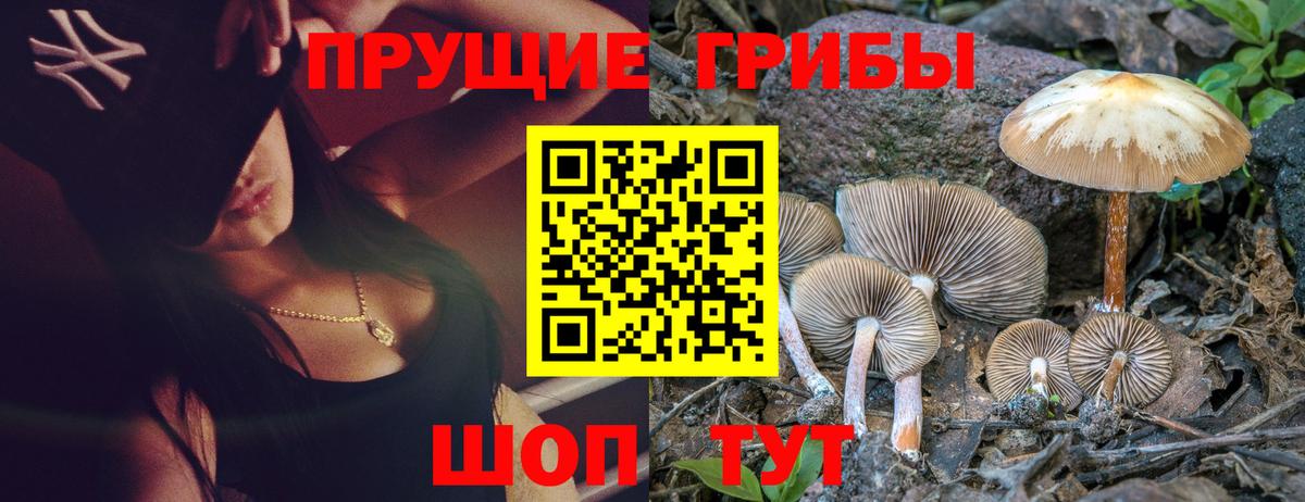 Псилоцибиновые грибы GOLDEN TEACHER Светлоград