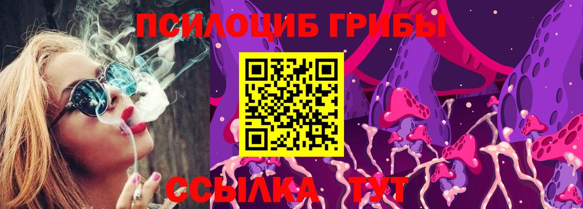 Псилоцибиновые грибы GOLDEN TEACHER  Псилоцибиновые грибы мухоморы  Вход с VPN  Светлоград 